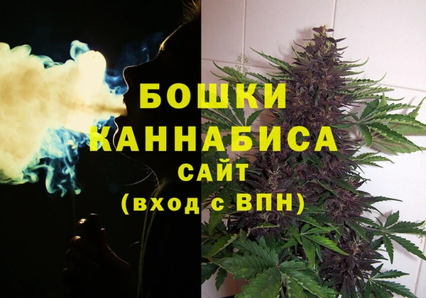 mdpv Кодинск