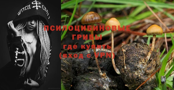 mdpv Кодинск