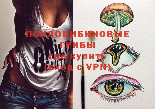 хмурый Козельск