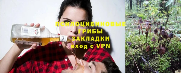 хмурый Козельск