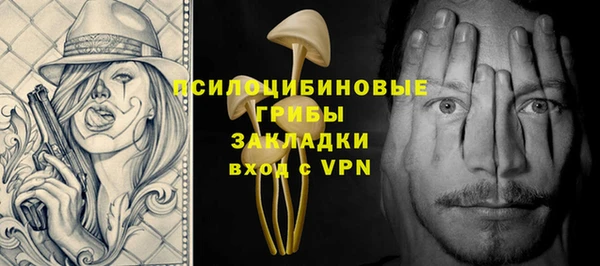 mdpv Кодинск