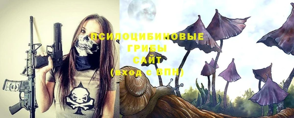 хмурый Козельск