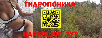 СК Гагарин