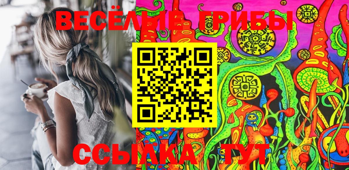 Галлюциногенные грибы Psilocybine cubensis Раменское